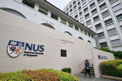 National University of Singapore (NUS) Fellows Programme